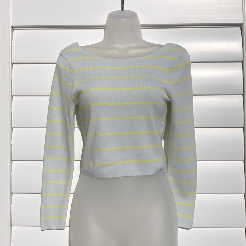 Zara striped long sleeve midi crop top